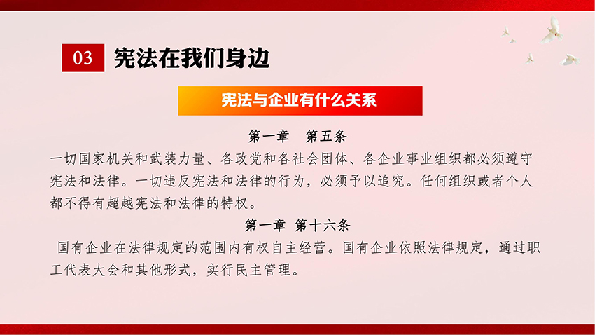 1701400434120852.jpg 宪法宣传-PPT课件_07.jpg